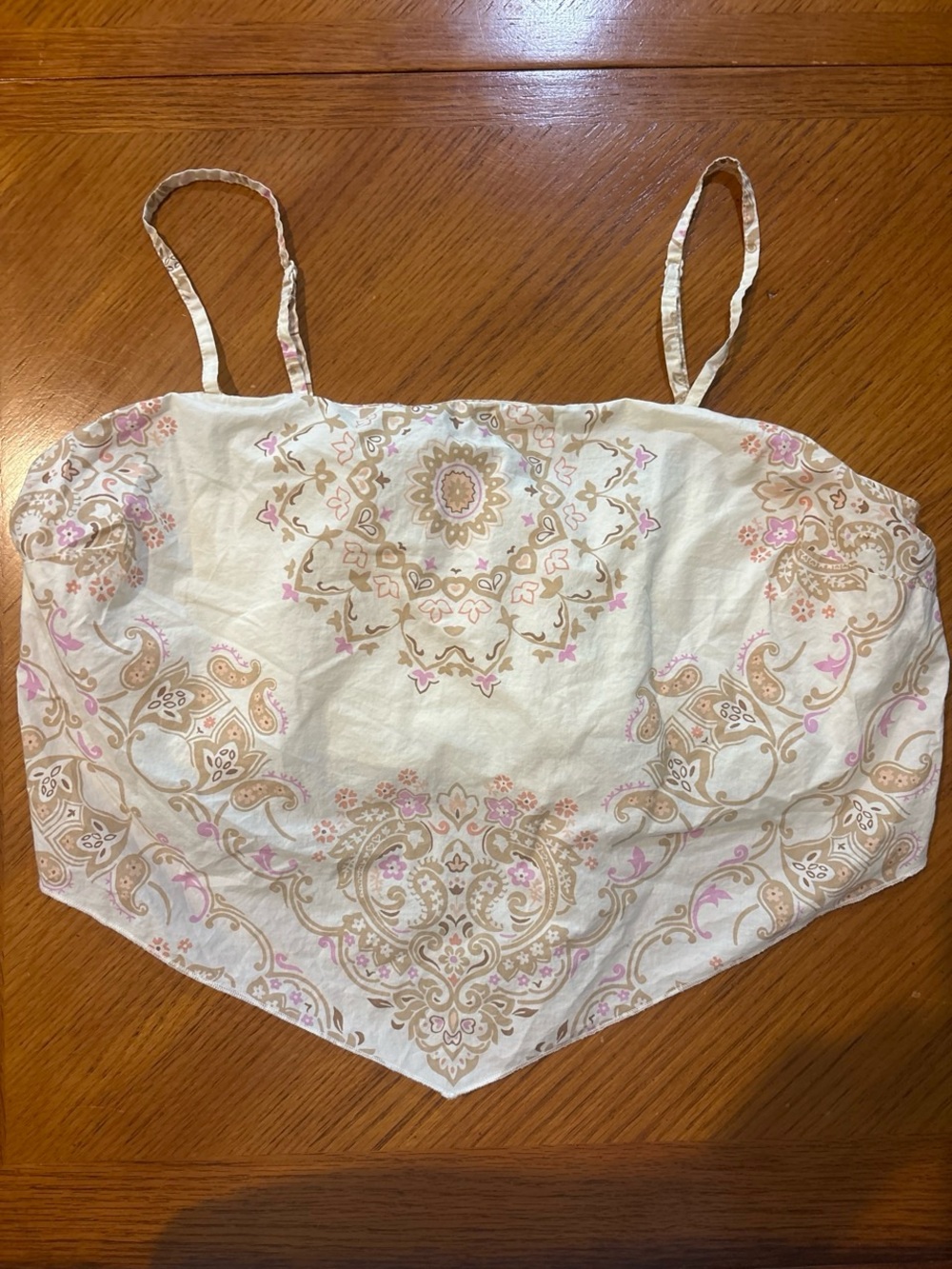 American Eagle Paisley Bandana Crop Top